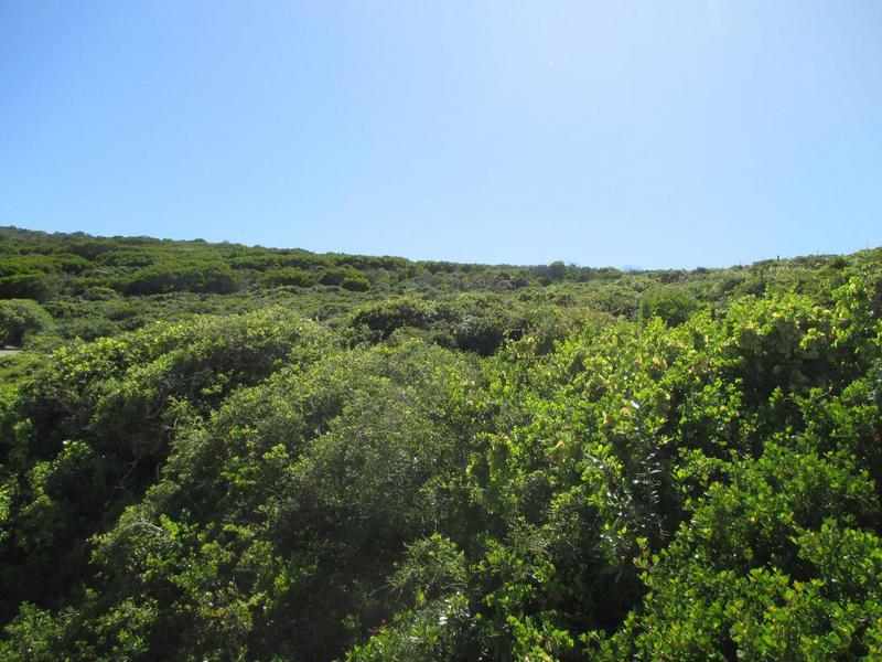 0 Bedroom Property for Sale in Nautilus Bay Western Cape
